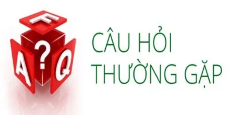 Giải đáp những câu hỏi thường gặp về đăng nhập 8kbet