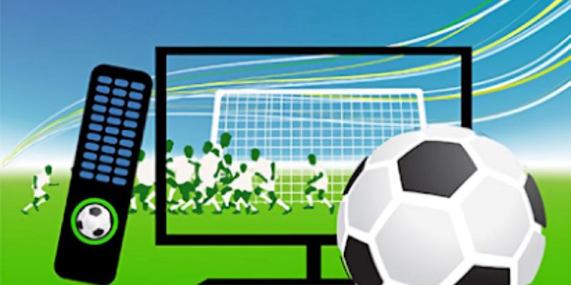 Kinh nghiệm cá cược online hội viên nên lưu ý